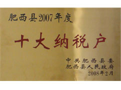 肥西县2007年度十大纳税户